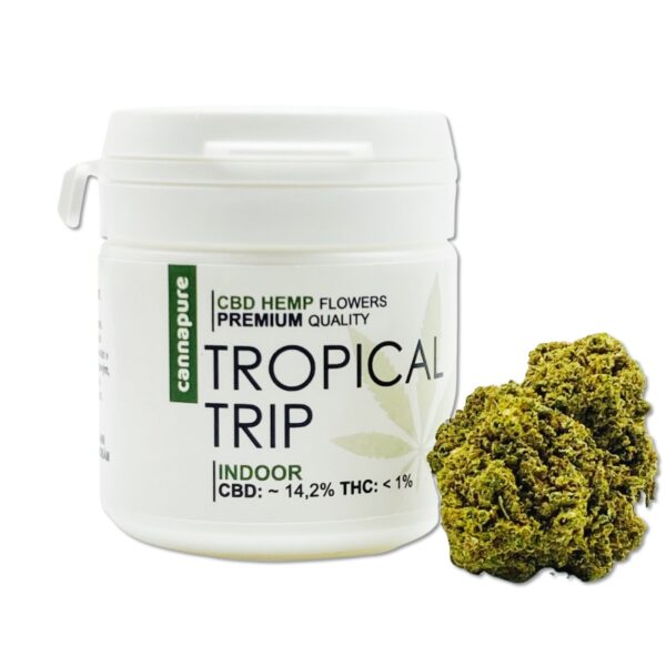 Tropical-Trip